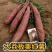 电商一手货源沙土地板栗红薯3斤5斤10斤支持远程代发