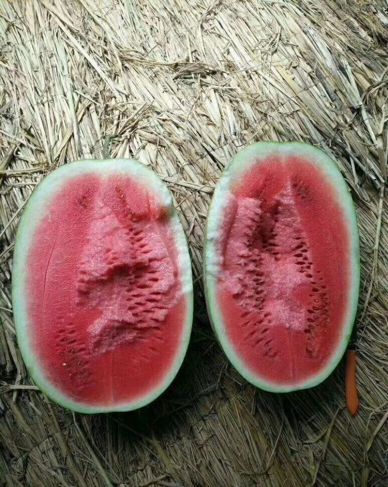 【西瓜批发】夏邑冠西瓜基地，生茬地，个头均匀，口感佳