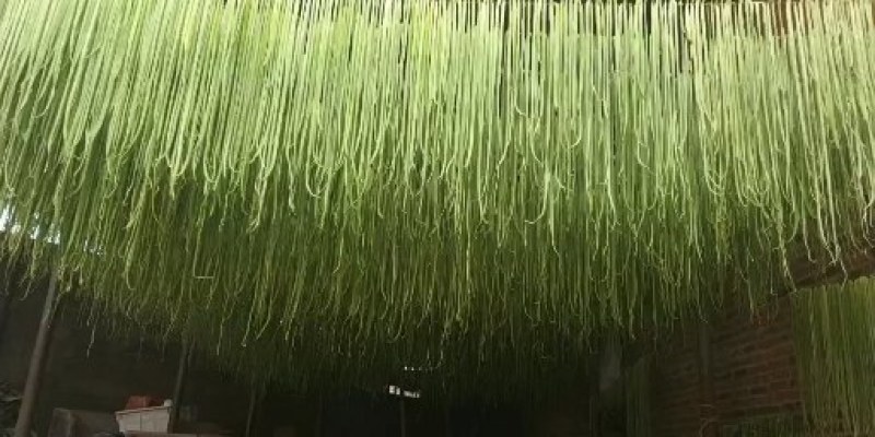 安徽贡菜云南贡菜苔菜一件10斤