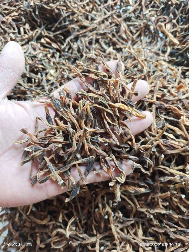 脱水干豆角长豆角豆角干豇豆