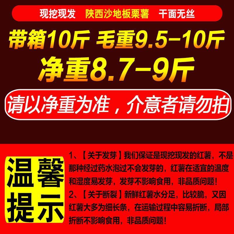 现挖新鲜红薯沙土地板栗红薯农家自种一件代发