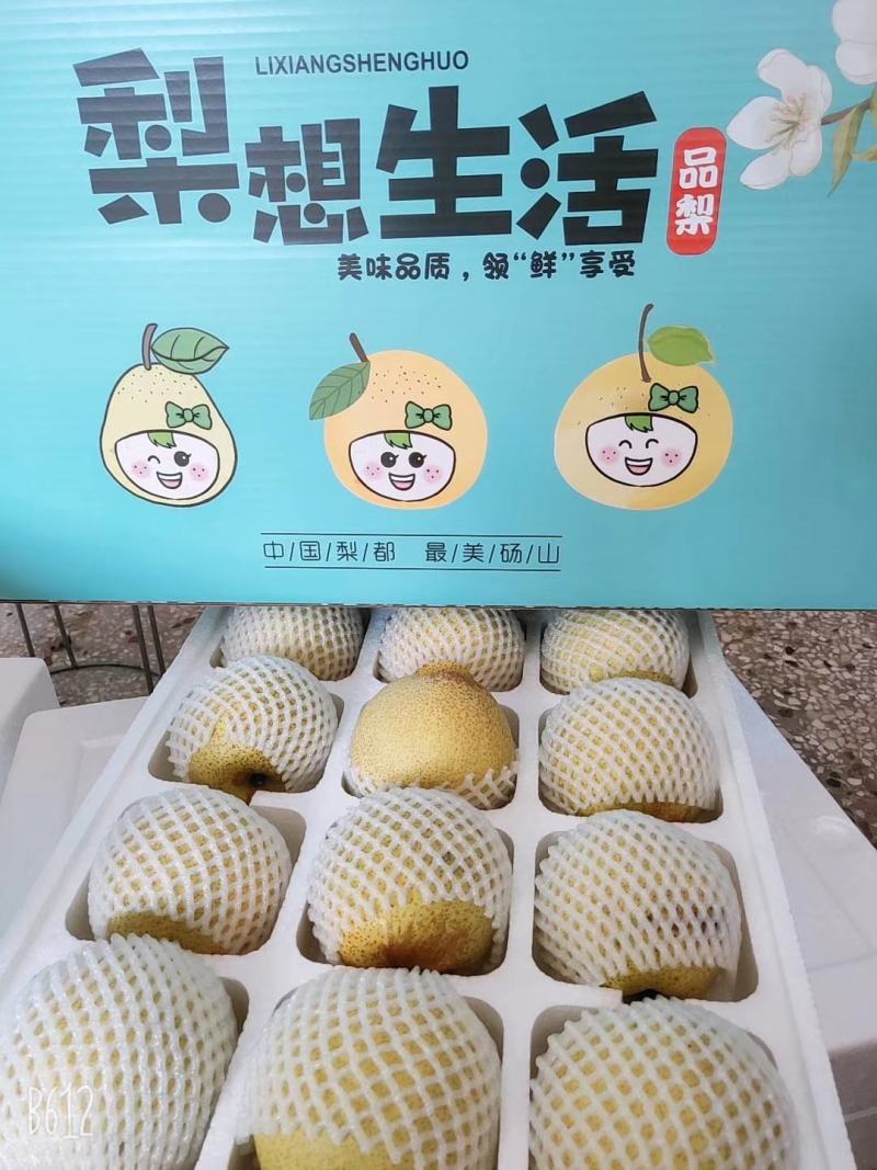 皇冠梨光果套袋白皇冠对接电商商超市场