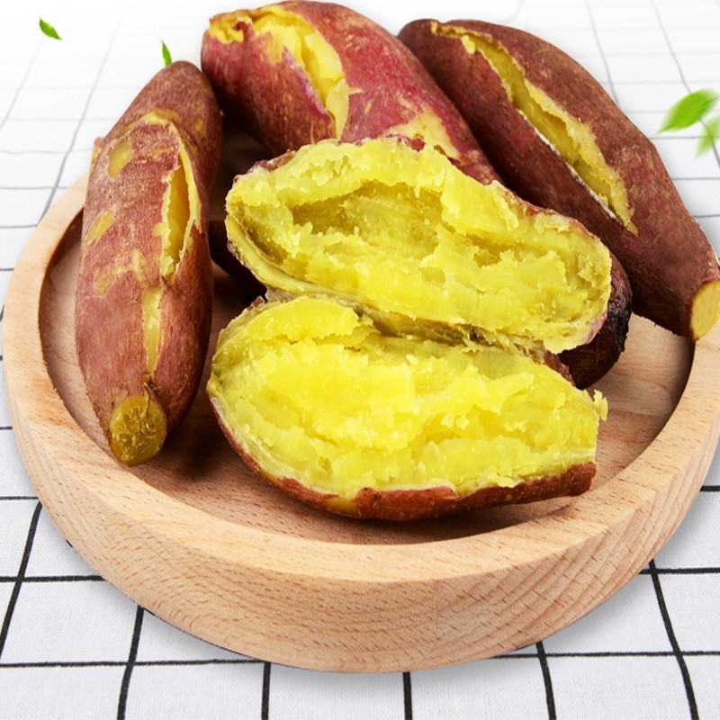 【精品】山东济薯26圆润饱满香甜可3两以上黄心可视频看货