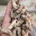 金蝉花金蝉产地直销量大从优一手货源