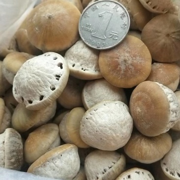 风流果进口风流果产地直销量大从优一手货源