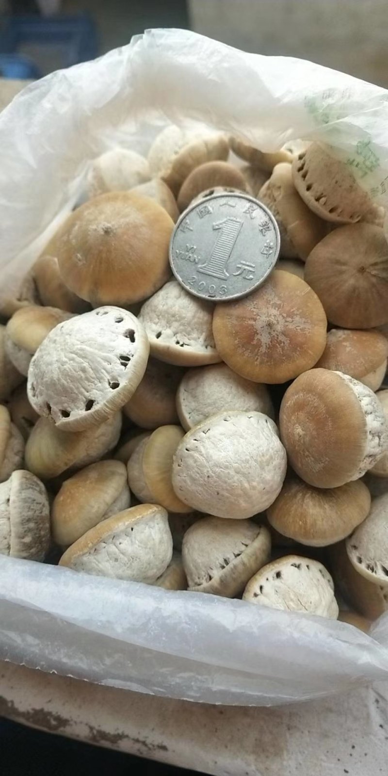 风流果进口风流果产地直销量大从优一手货源