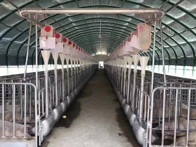 耀华地磅畜牧地磅三吨小地磅动态防抖养殖物流称重