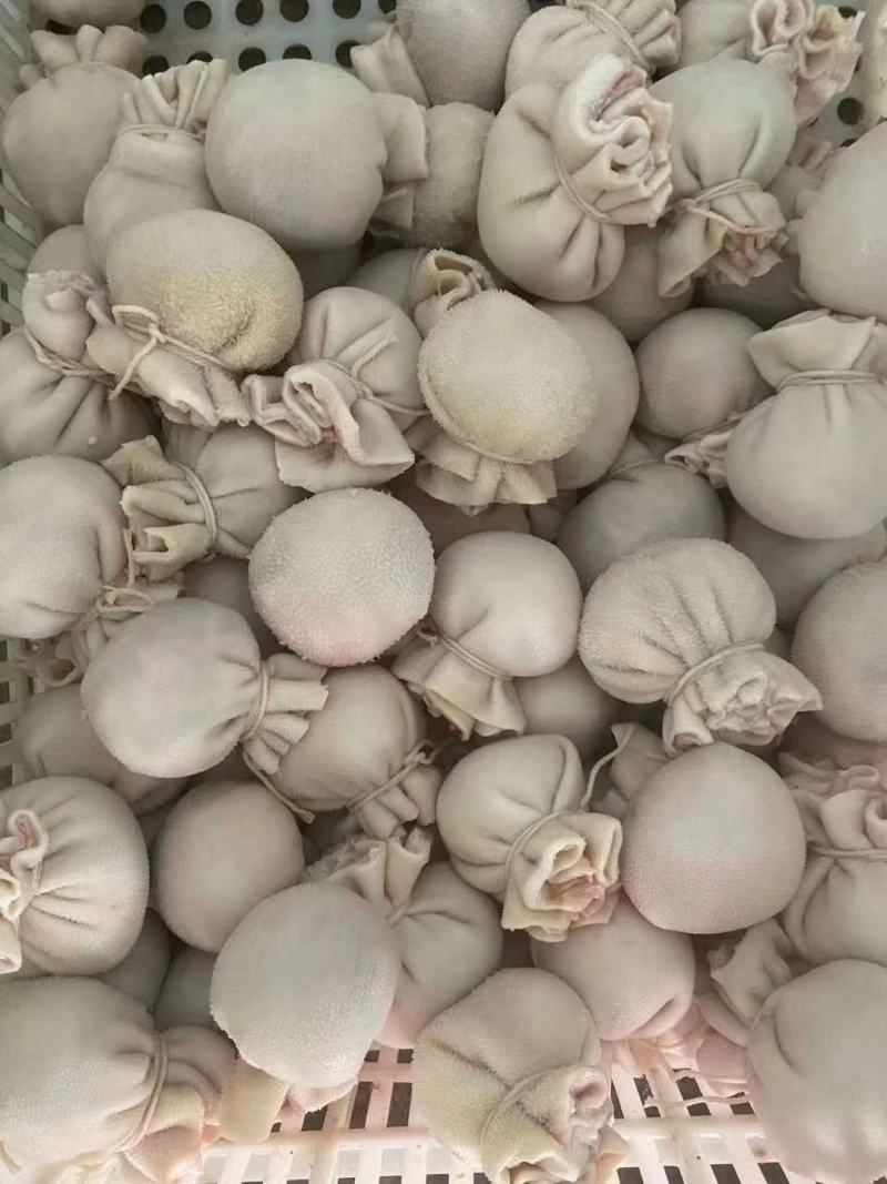 网红肚包脑热卖中.产地直销一件也是批发价
