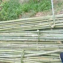 各种规格的竹子都能急时供应