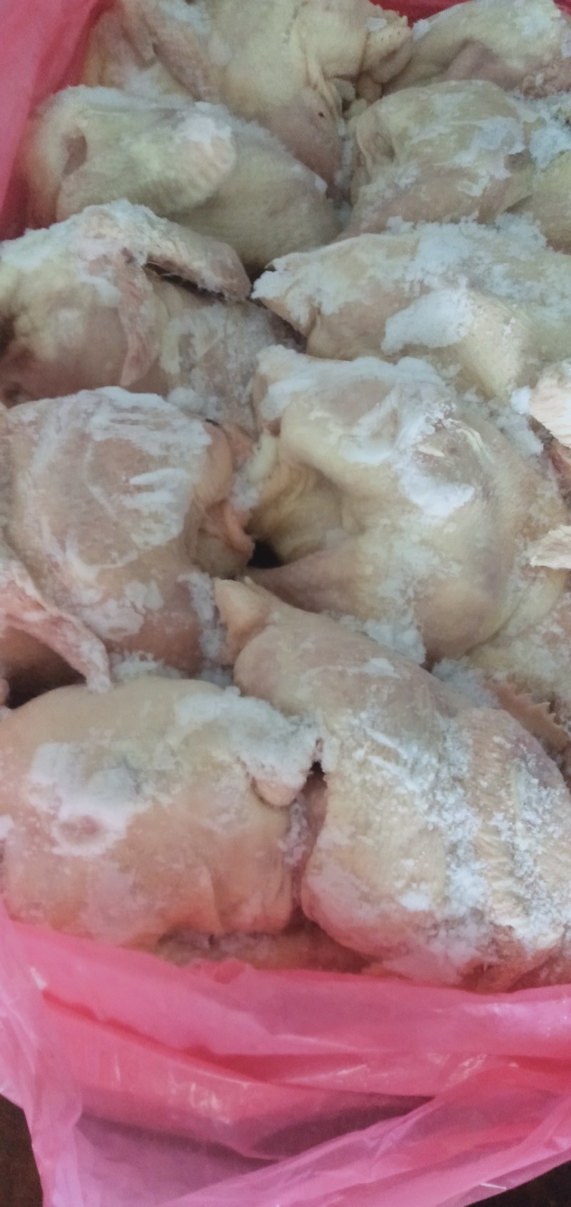 优惠价格鲜冻白条肉鸡