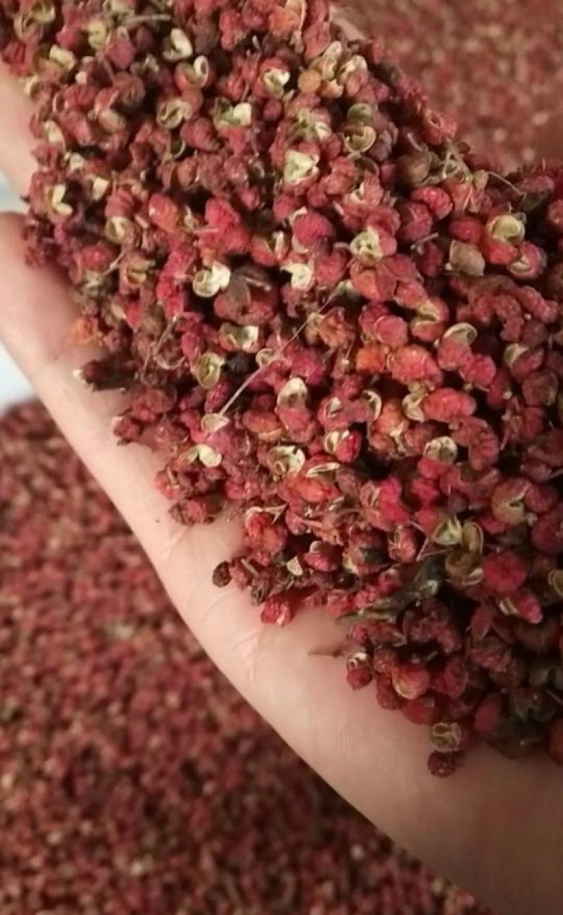优质大红袍花椒精品中的精品