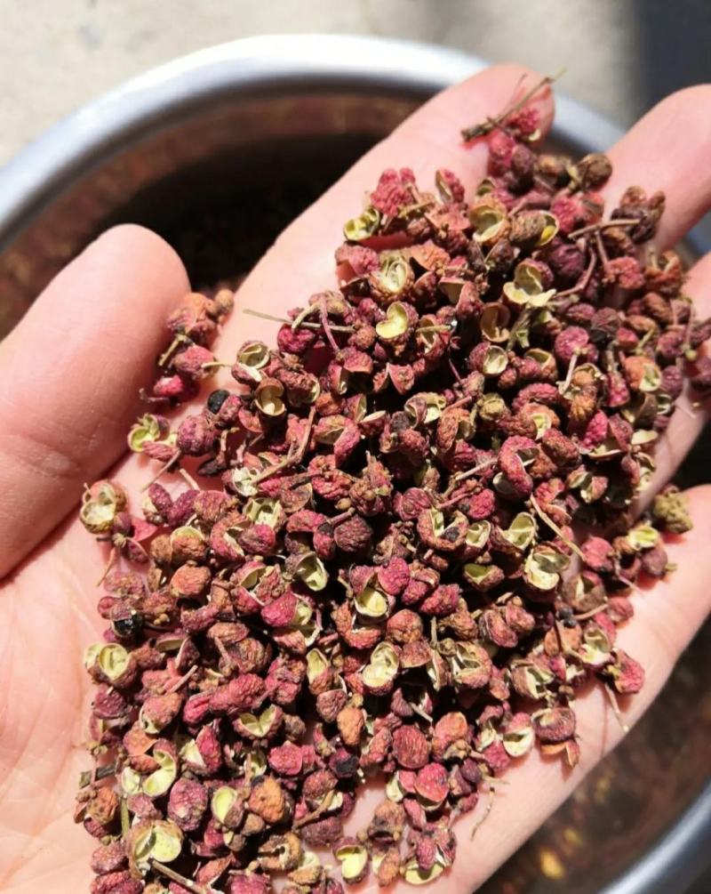 优质大红袍花椒精品中的精品