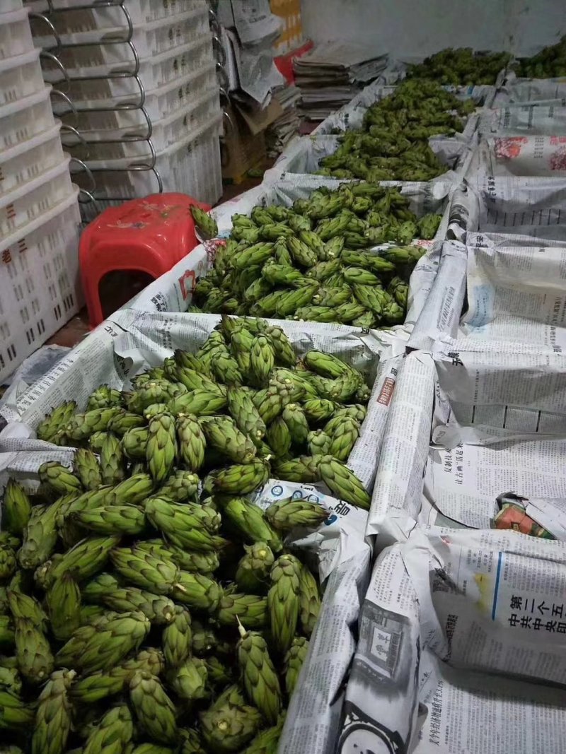 霸王花