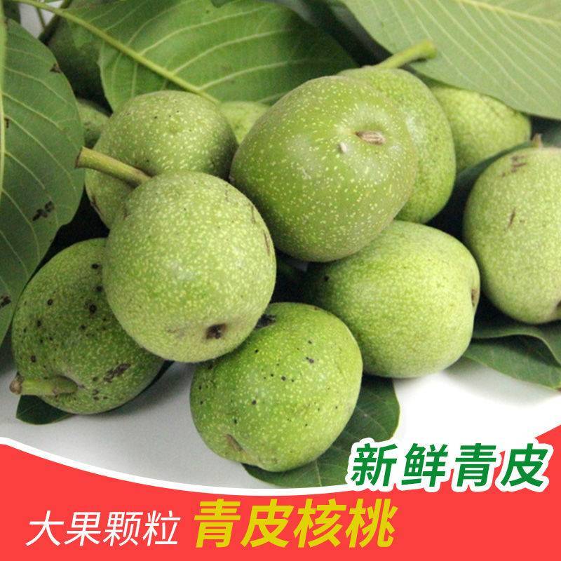 青皮核桃去皮青皮3/5/9斤当季新鲜坚果核桃