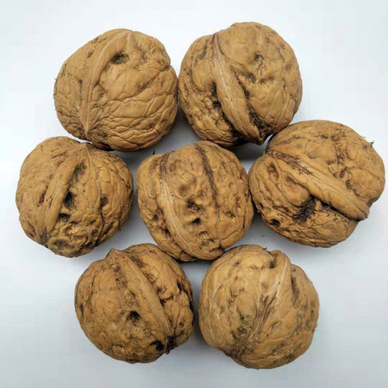 青皮核桃去皮青皮3/5/9斤当季新鲜坚果核桃
