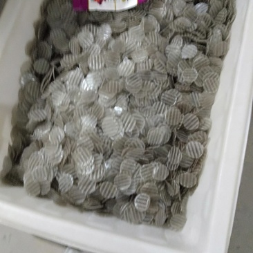 粉皮