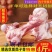 【顺丰包邮】黑猪猪肋排猪仔排新鲜冷冻猪排骨3斤4斤批