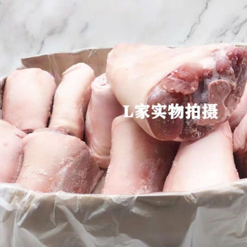 新鲜冷冻猪肘子猪蹄膀前肘肘子前腿肉20斤一箱9-13个新