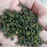 重庆青花椒一级干货