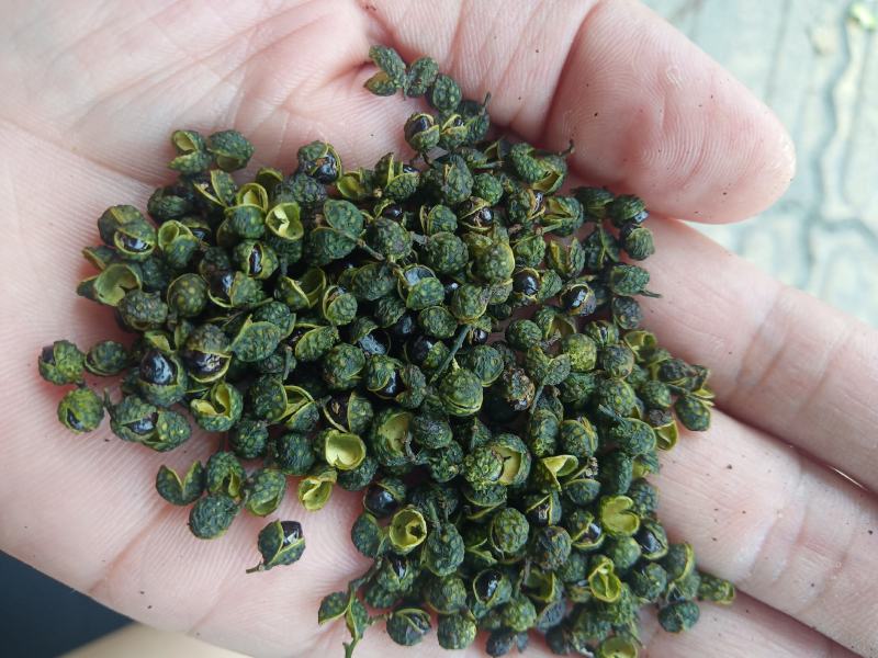 重庆青花椒一级干货