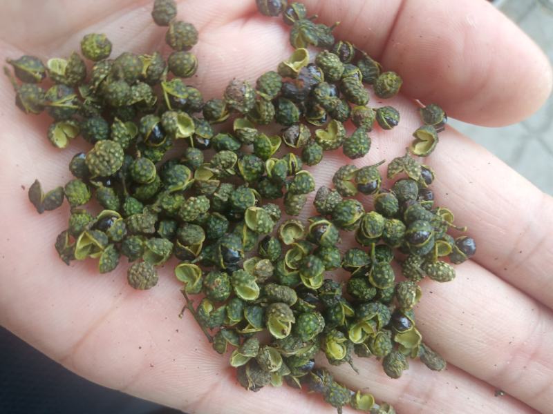 重庆青花椒一级干货