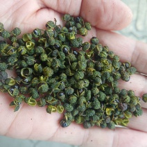 重庆青花椒一级干货