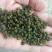 重庆青花椒一级干货