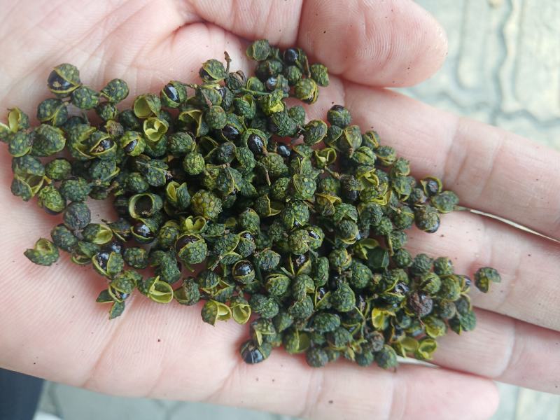 重庆青花椒一级干货