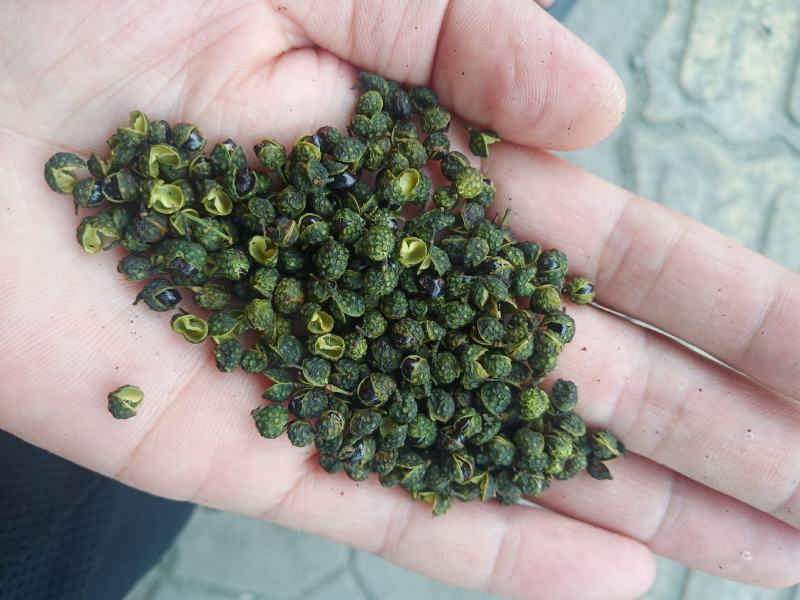 重庆青花椒一级干货