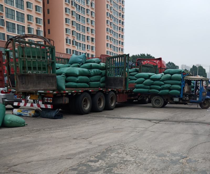 重庆青麻椒一级颜色绿净度好杂质少货干