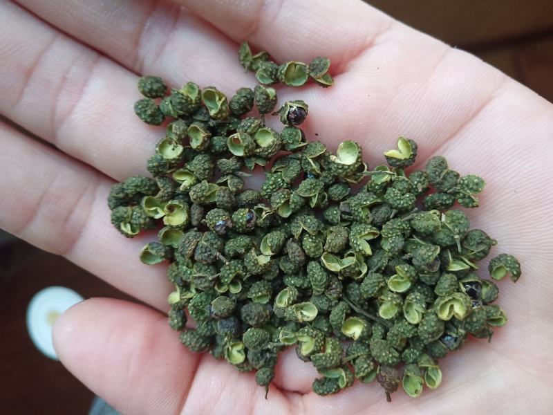 重庆青麻椒一级颜色绿净度好杂质少货干