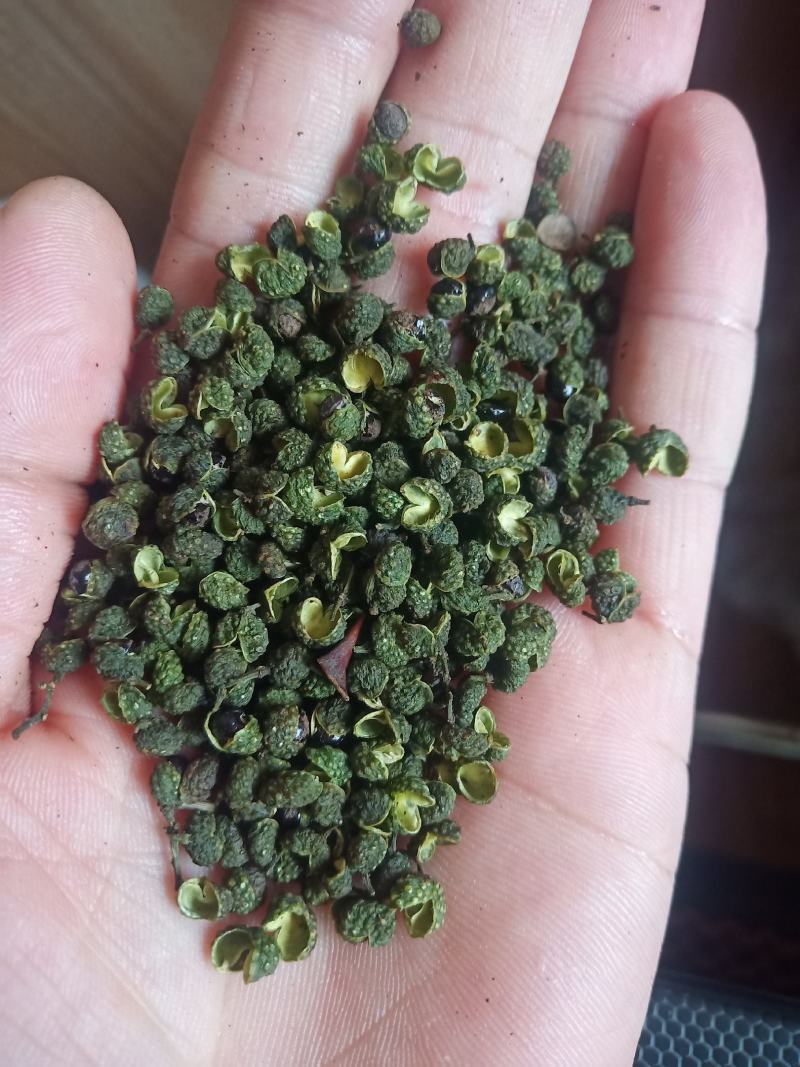 重庆青麻椒一级颜色绿净度好杂质少货干