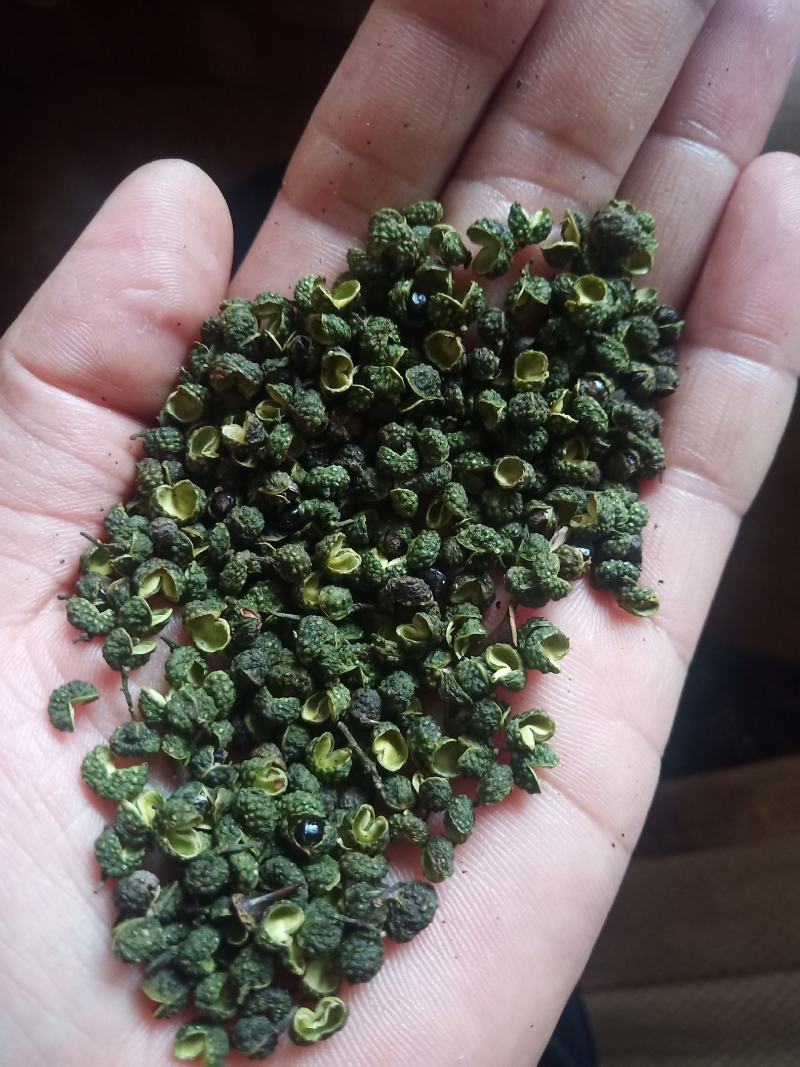 重庆青麻椒一级颜色绿净度好杂质少货干