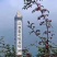 汉源花椒贡椒娃娃椒干花椒2020新货