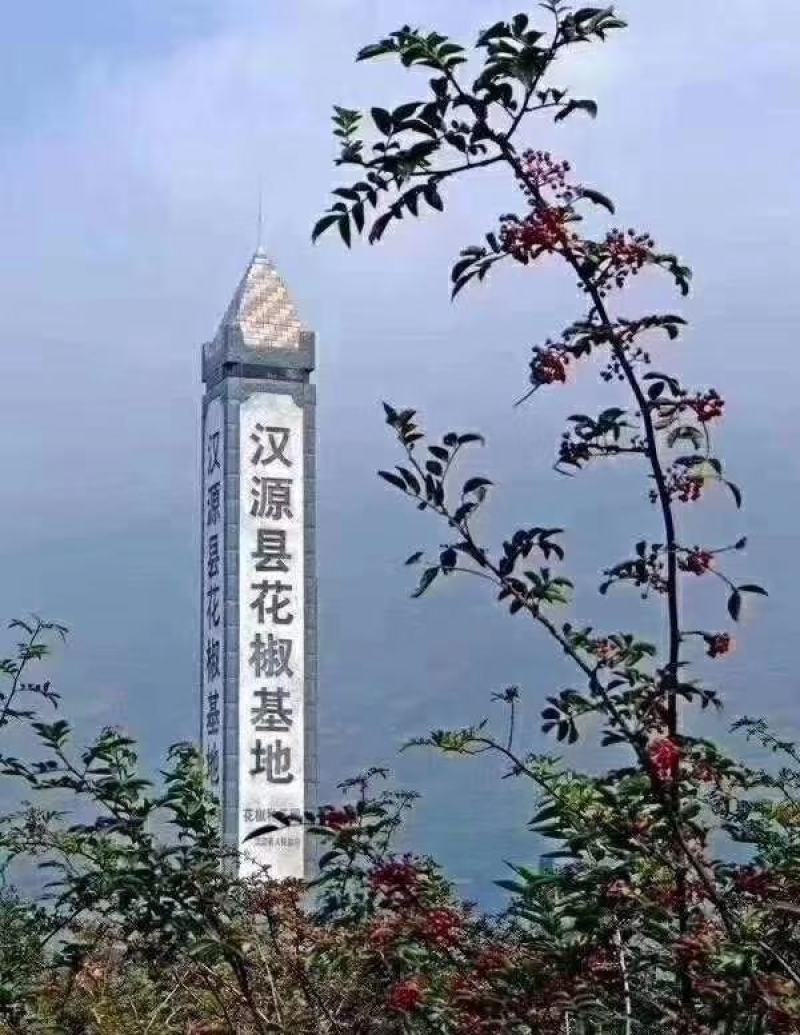 汉源花椒贡椒娃娃椒干花椒2020新货