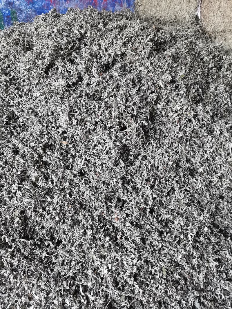 今年前期艾叶，六七吨，