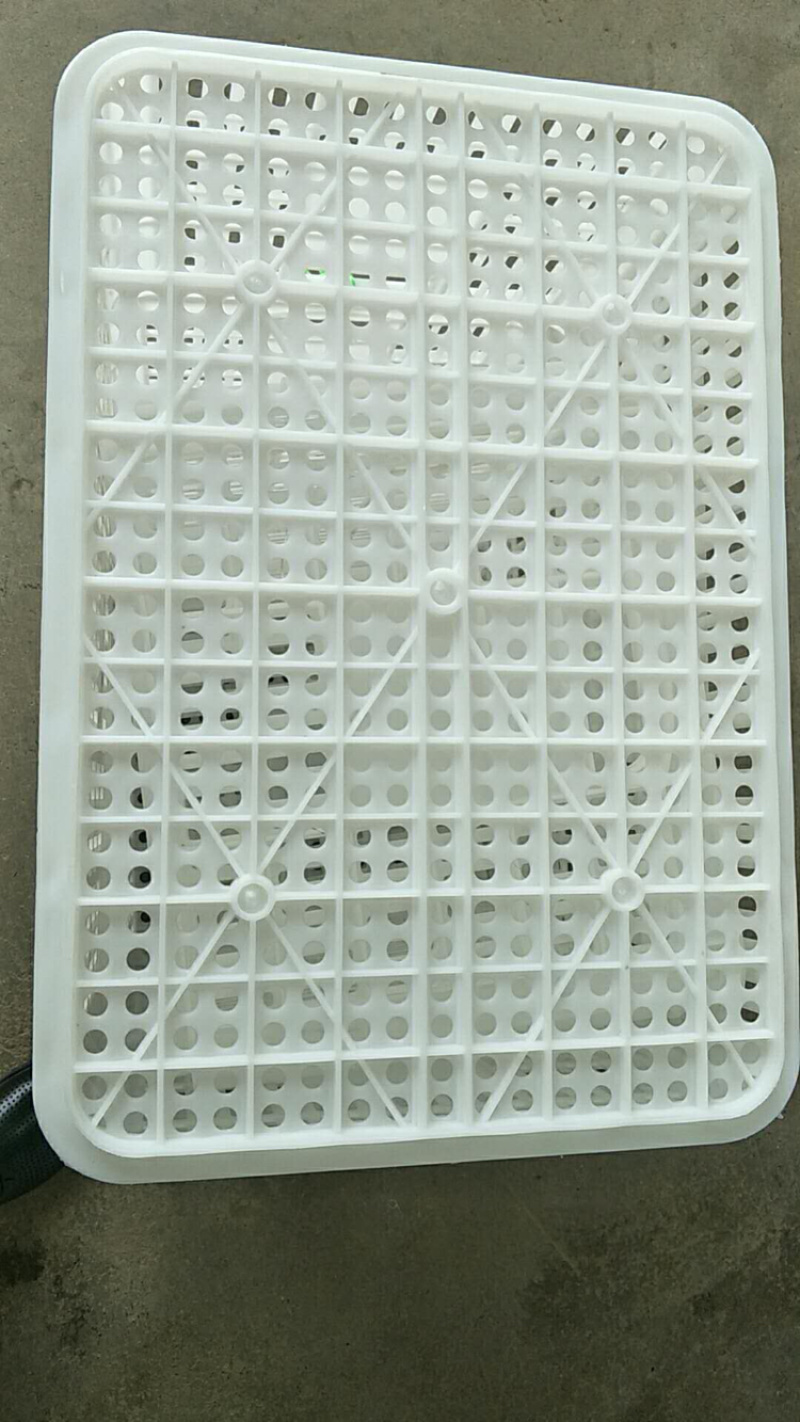 塑料周转箱，鸡蛋箱，鸡苗筐运输箱，水果蔬菜箱