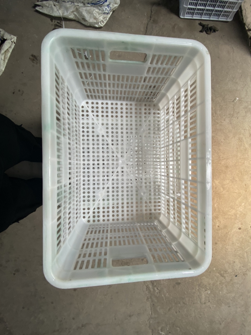 塑料周转箱，鸡蛋箱，鸡苗筐运输箱，水果蔬菜箱