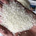 大颗粒抛光碎米粥米价格优美欢迎采购