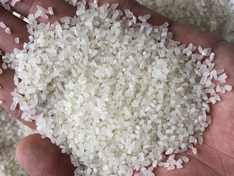 大颗粒抛光碎米粥米价格优美欢迎采购