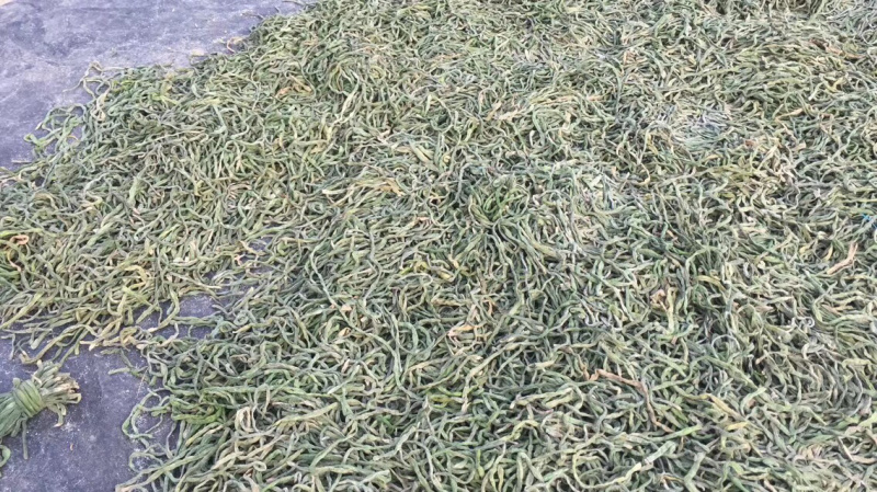湖南农家豆角盐豆角青淡豆角扎捆长豆角60斤/件
