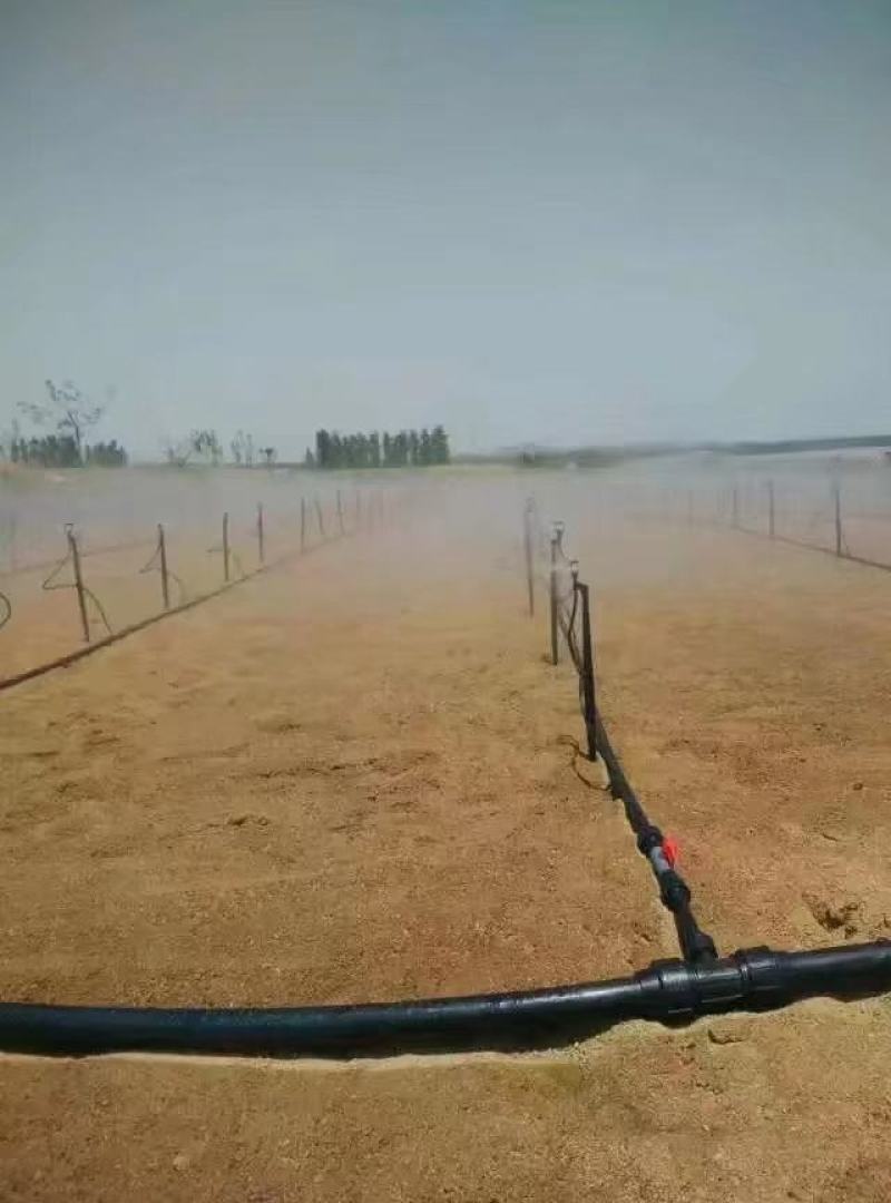 【喷头推荐】地插微喷喷雾头可调大小微喷头涌泉式地插微喷