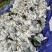 攀枝花金煌芒果原产地直发，全程采用绿色无污染种植可视频看