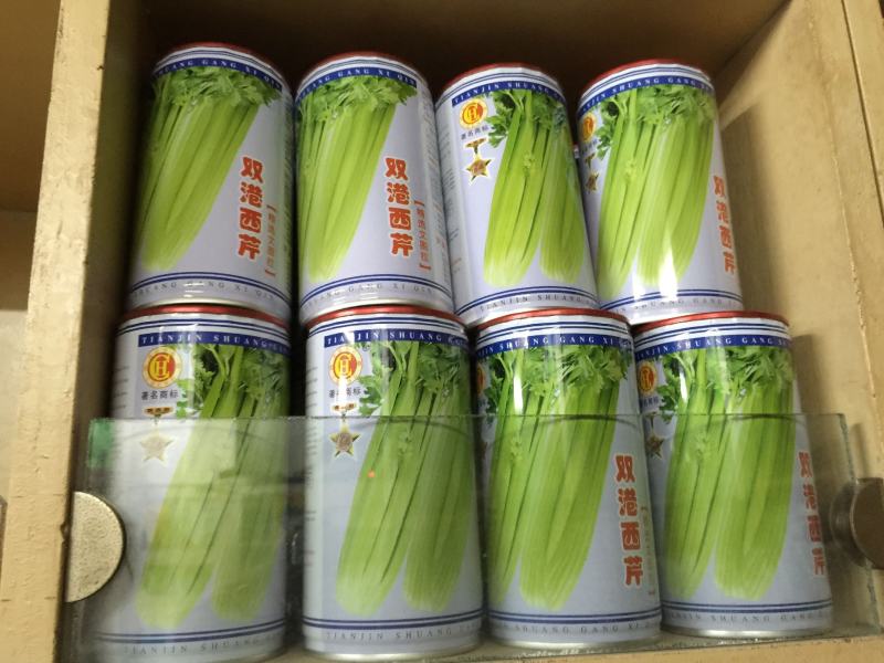 批零芹菜种子天津宏程双港西芹种子天津文图拉芹菜蔬菜种子