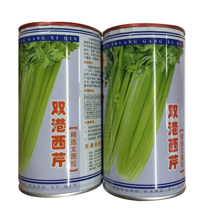 批零芹菜种子天津宏程双港西芹种子天津文图拉芹菜蔬菜种子