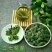 云南文山春三七花三年花，四年花，产地直销大量发价格优惠