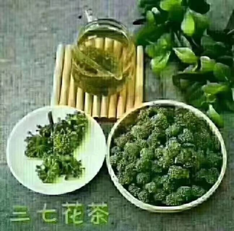 云南文山春三七花三年花，四年花，产地直销大量发价格优惠