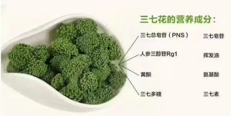 云南文山春三七花三年花，四年花，产地直销大量发价格优惠