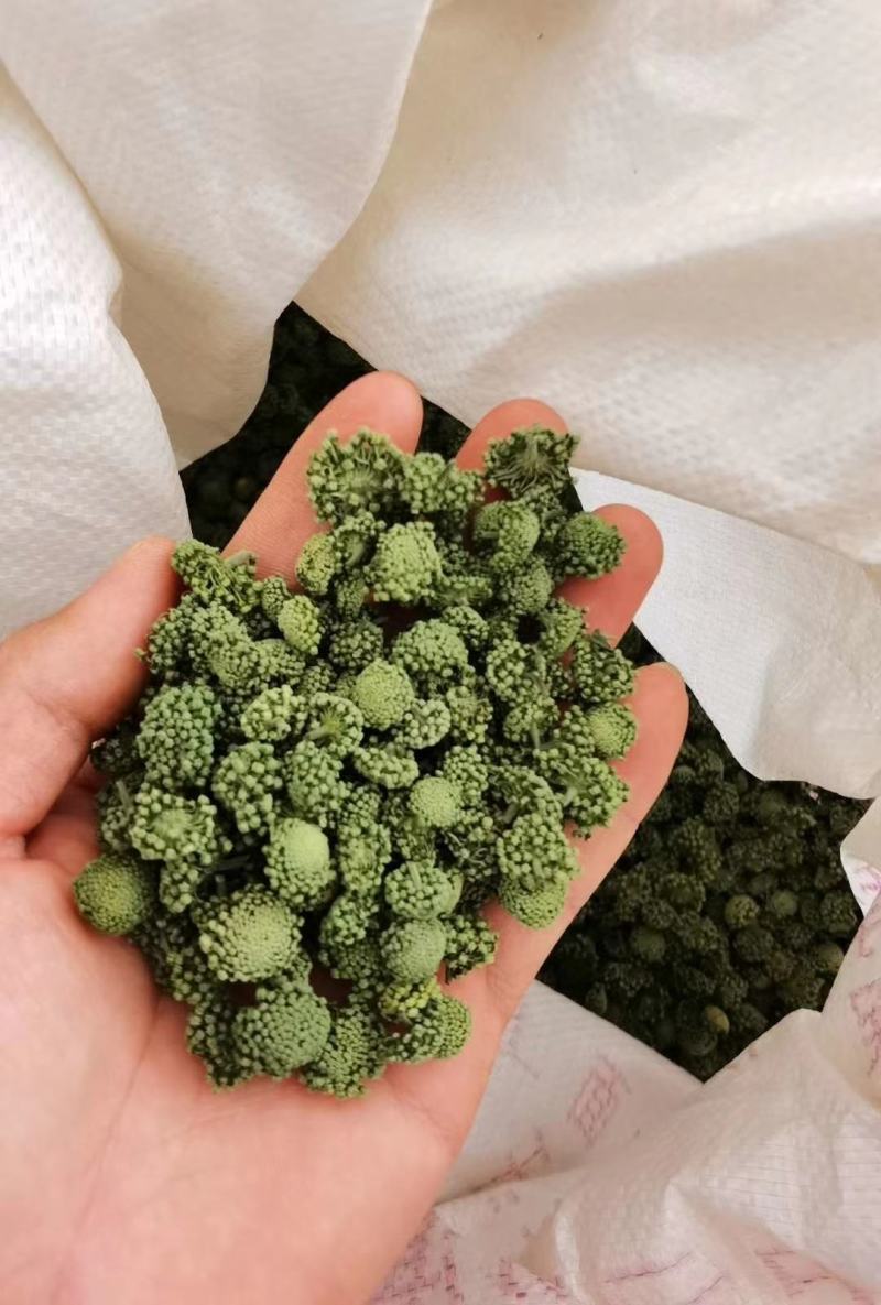 云南文山春三七花三年花，四年花，产地直销大量发价格优惠