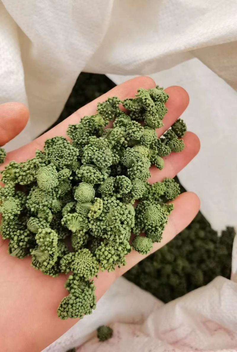 云南文山春三七花三年花，四年花，产地直销大量发价格优惠